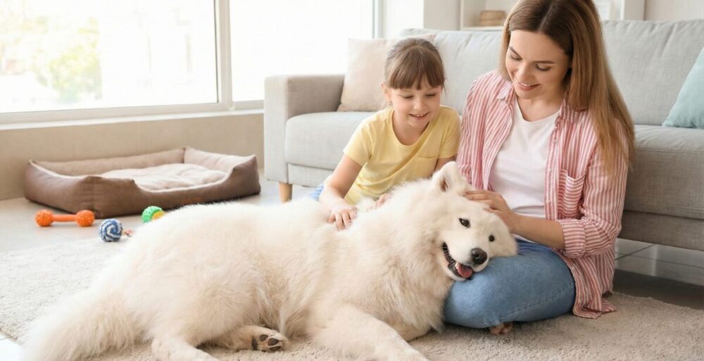 サモエドをどこの国よりも愛するために知っておきたいこと